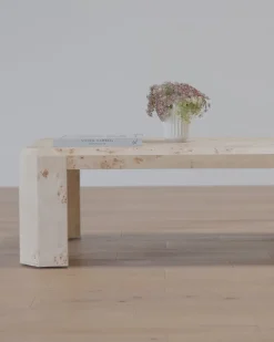 Rocio Burl Coffee Table