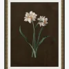 Sepia Sprouts III