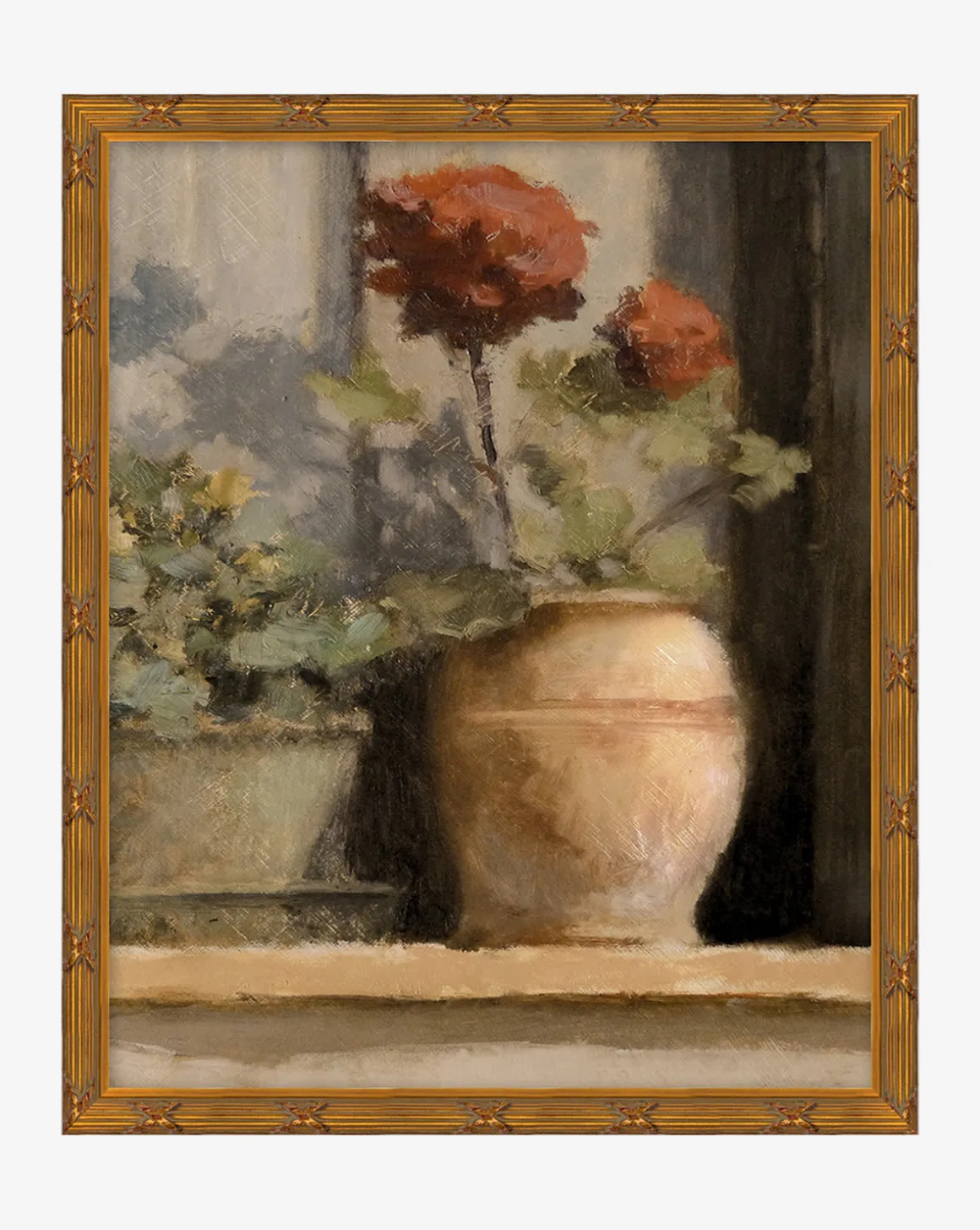 Stoop Geraniums