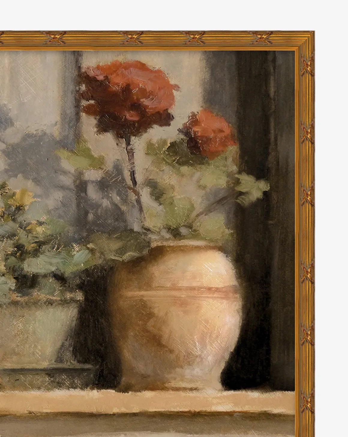 Stoop Geraniums