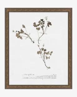 Subdued Botanicals I
