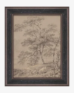 Taupe Forest