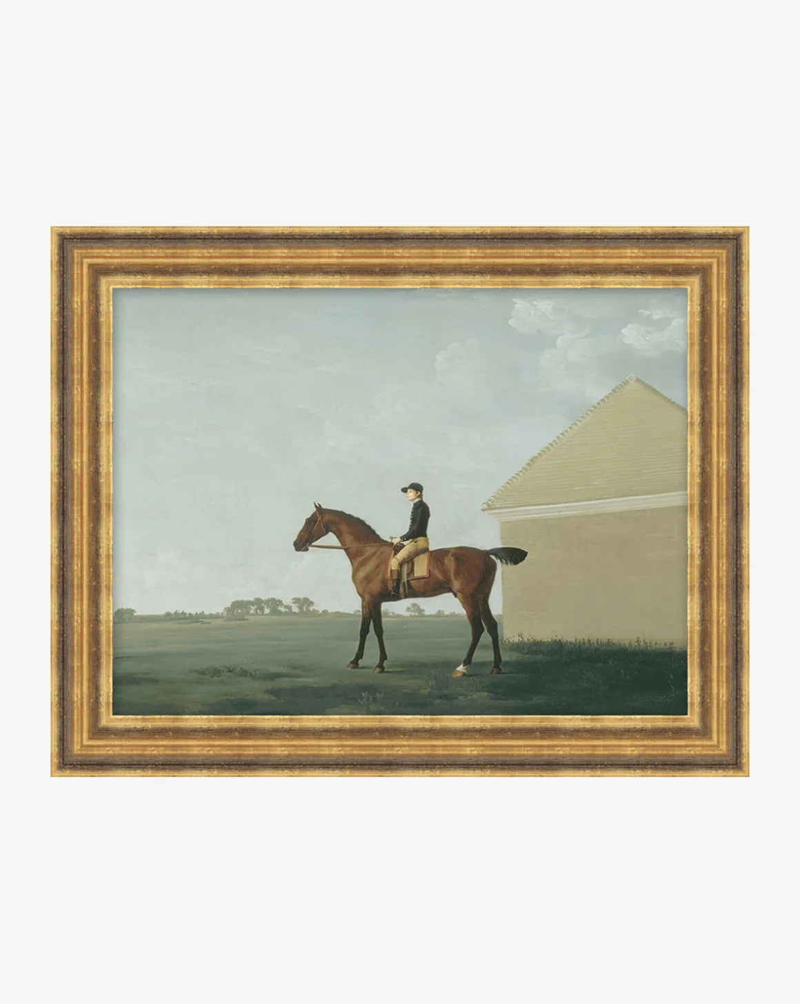 The Little Jockey