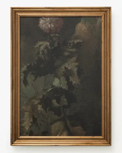 Thistle Down
