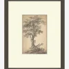 Tree on a Hilltop
