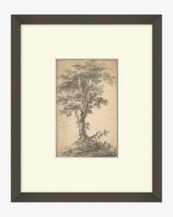 Tree on a Hilltop
