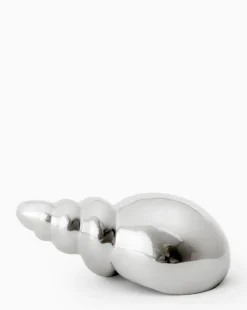 Tulip Shell
