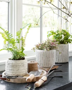 Whitewashed Ridge Pot